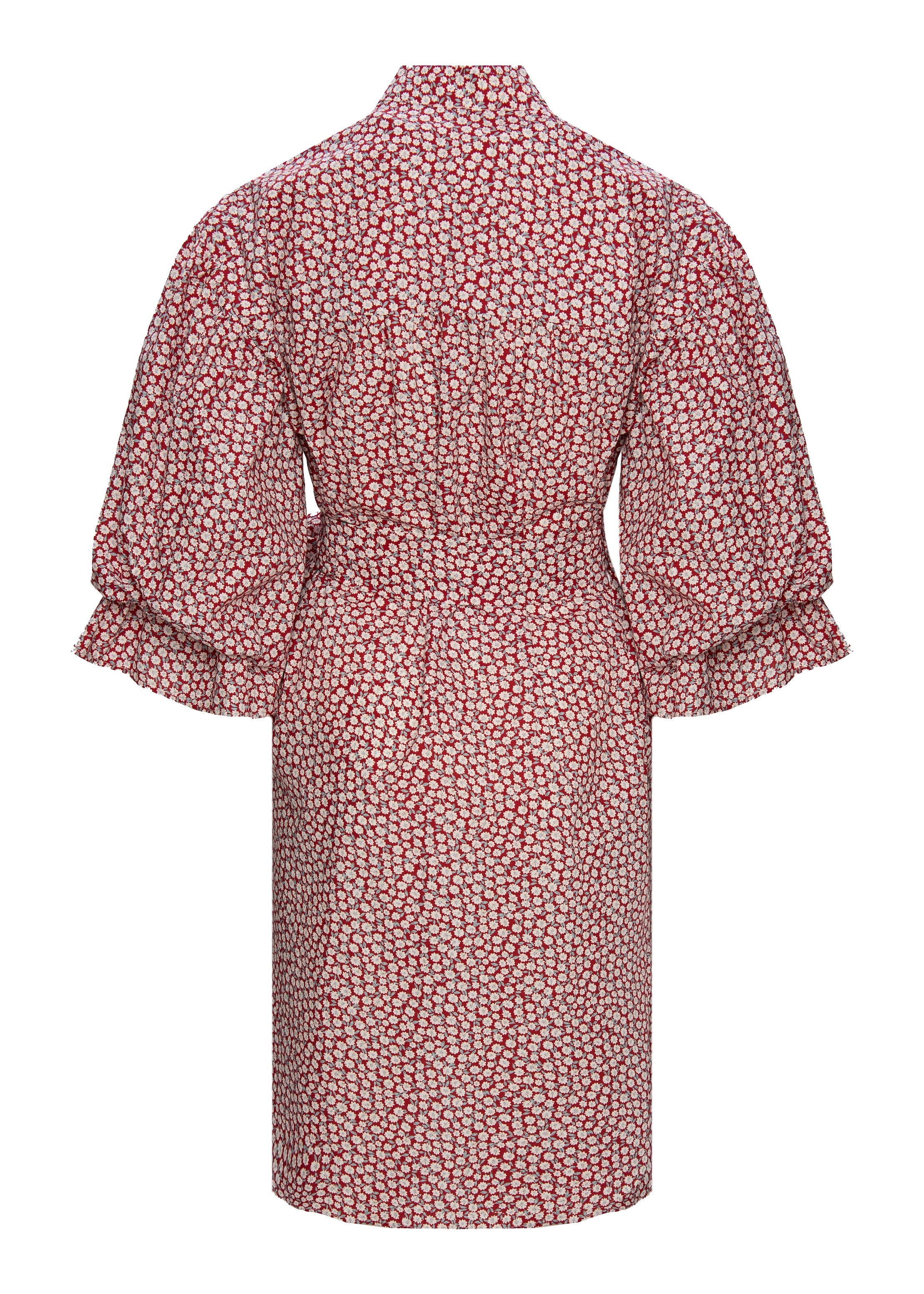 Alice Liberty Red Flowers Dress