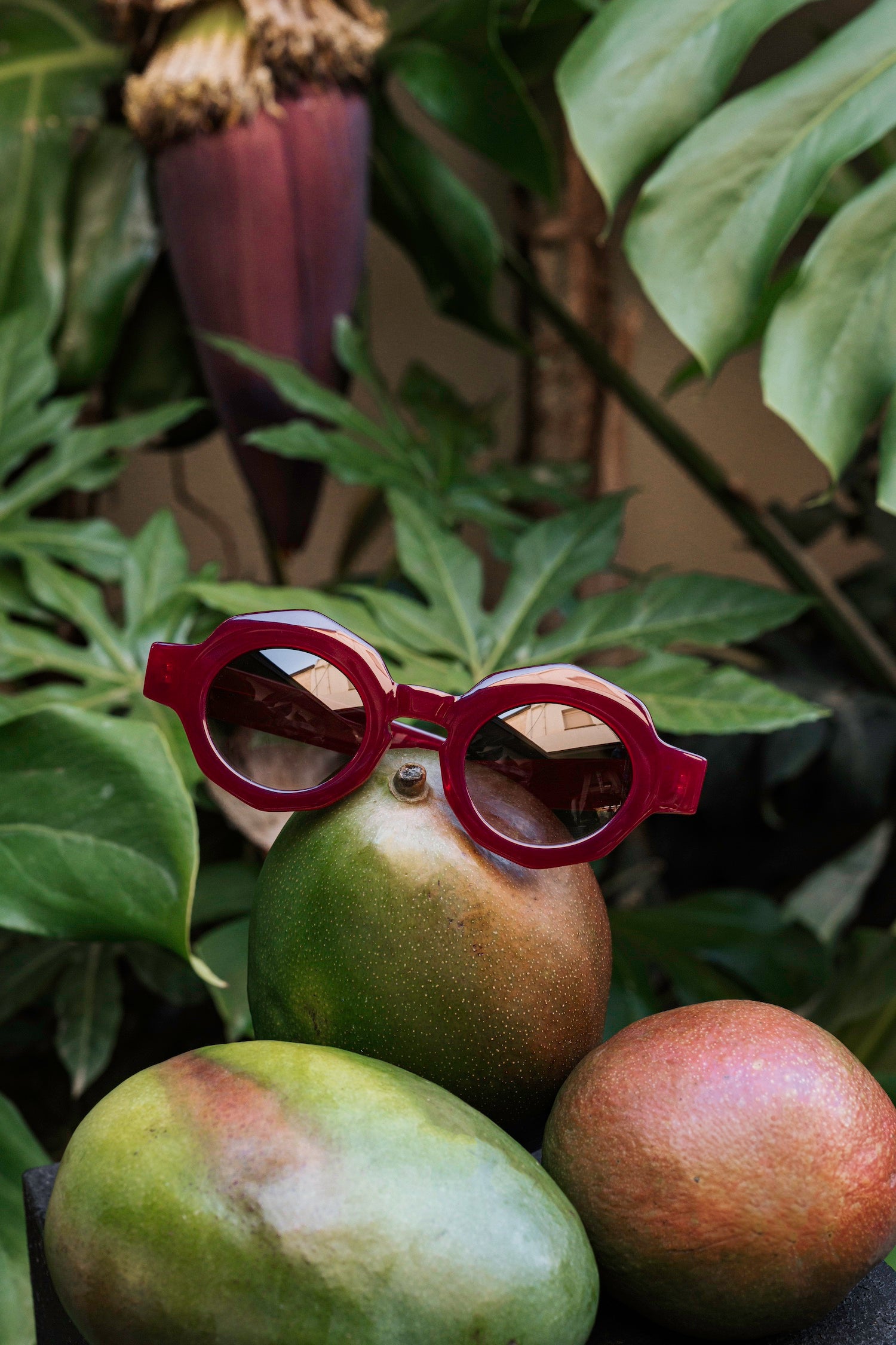 Beldi Burgundy Sunglasses