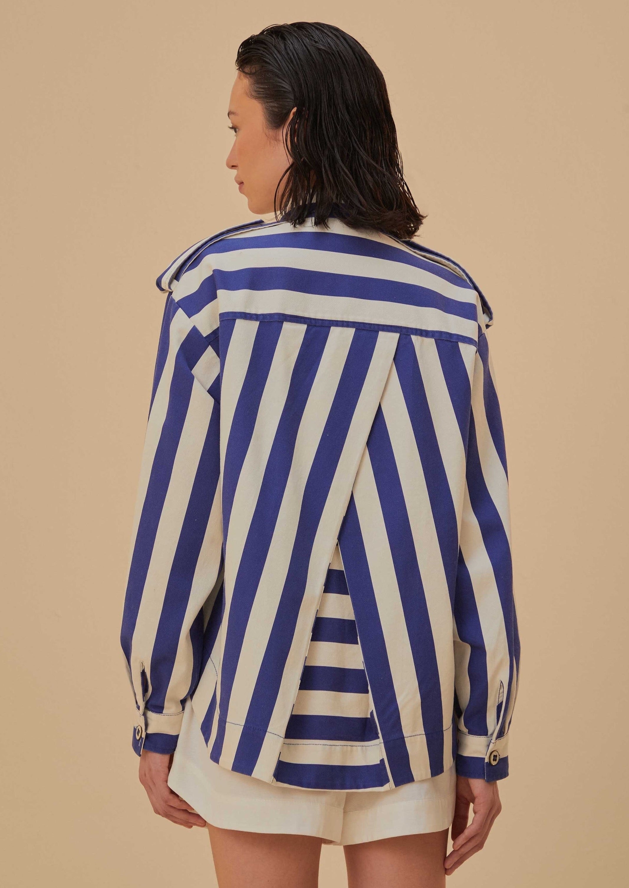 Striped Blue Long Sleeve Shirt