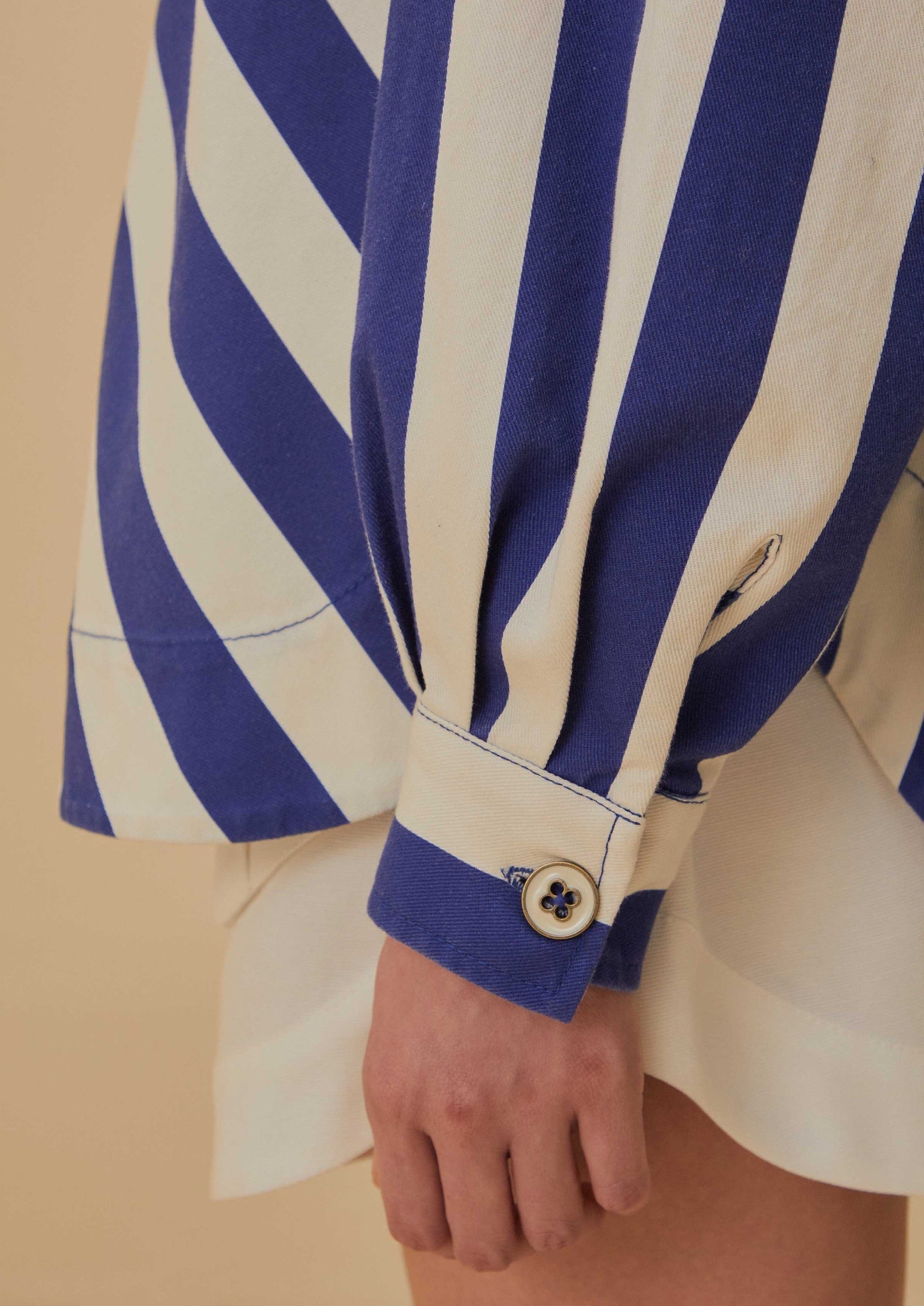 Striped Blue Long Sleeve Shirt