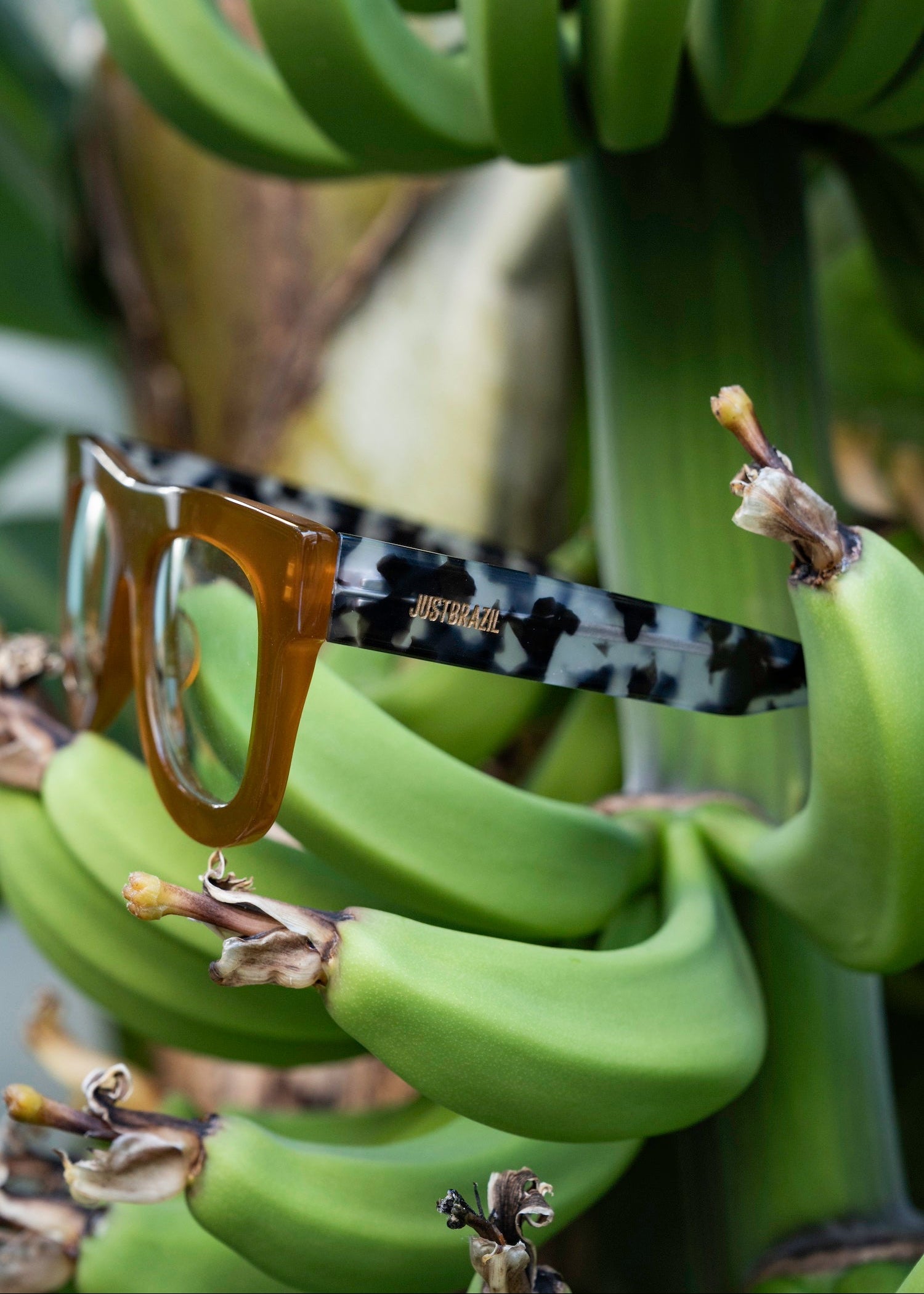 Gale Amber/Tortoise Grey Sunglasses