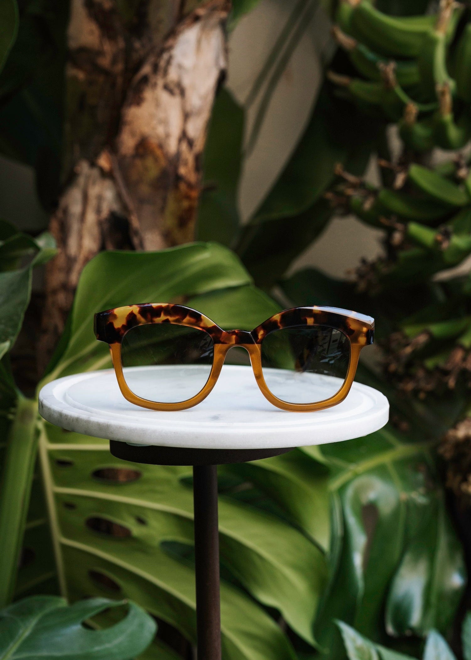 Firenze Tortoise/Brown Sunglasses