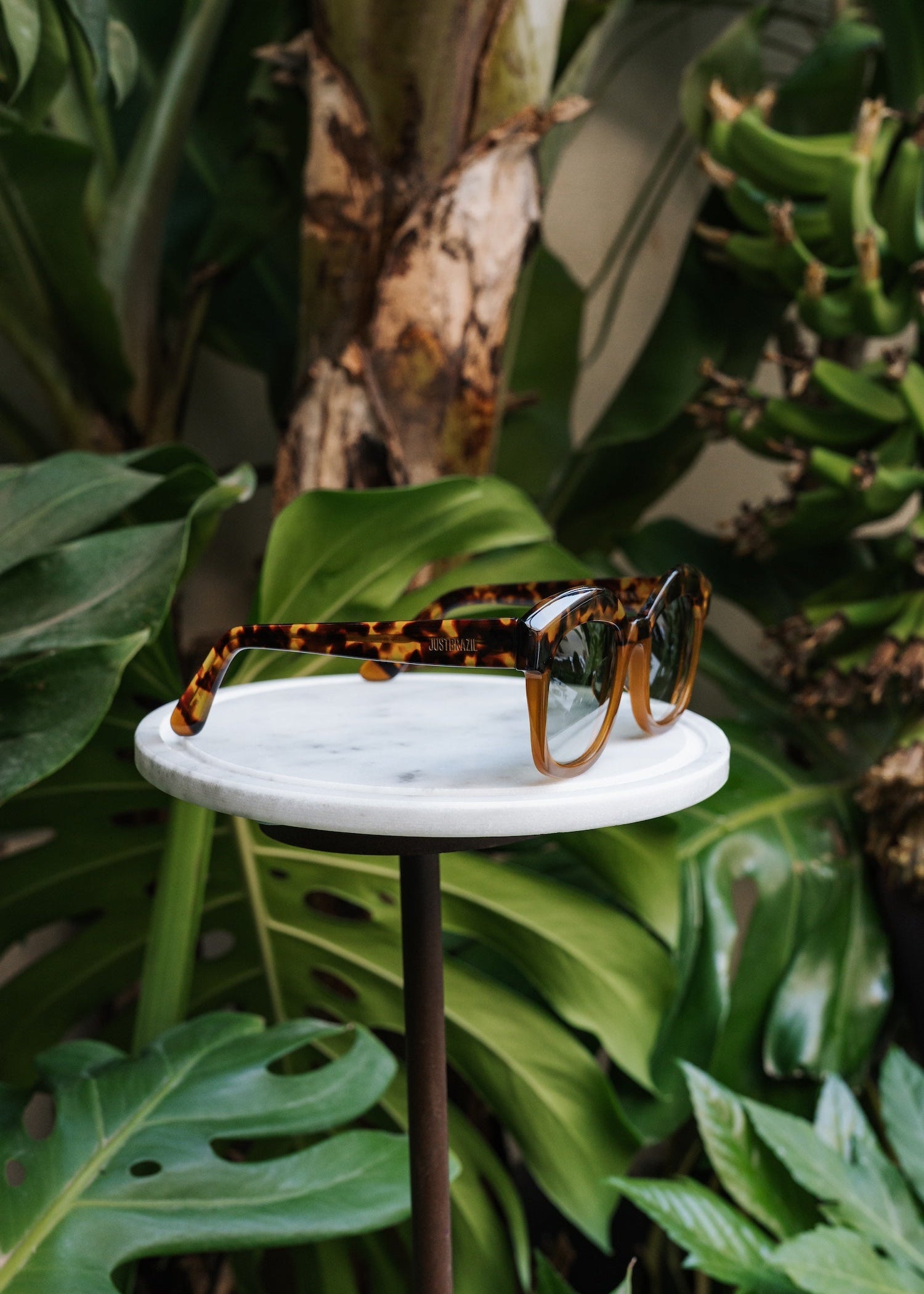 Firenze Tortoise/Brown Sunglasses