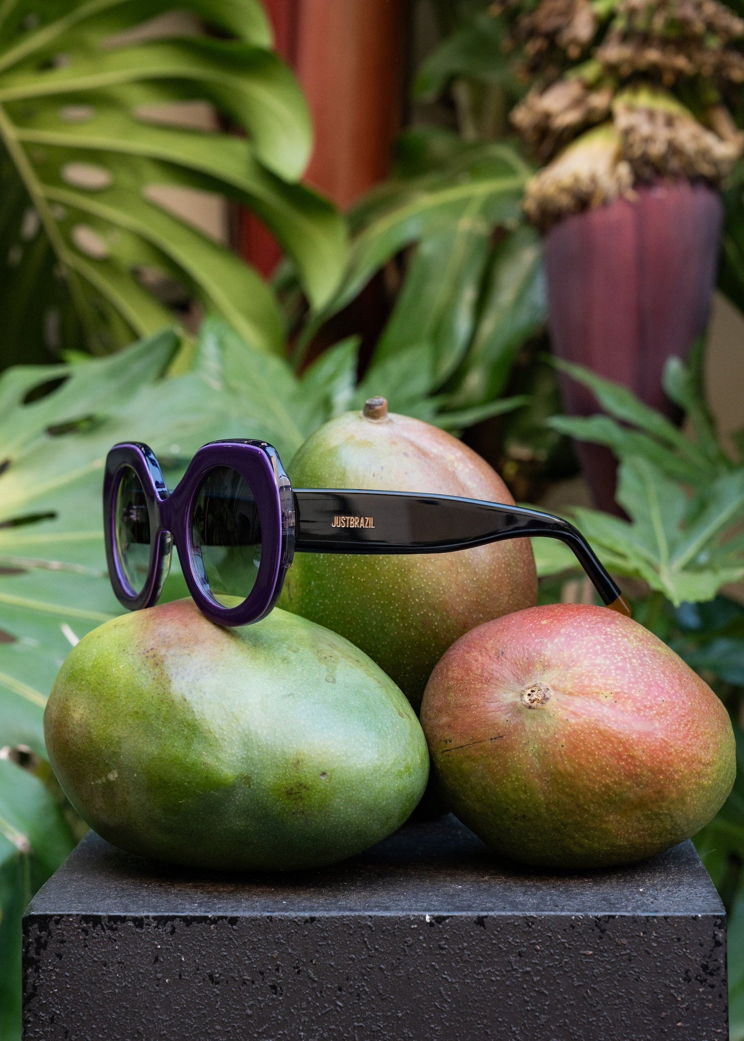 Nonna Purple Sunglasses