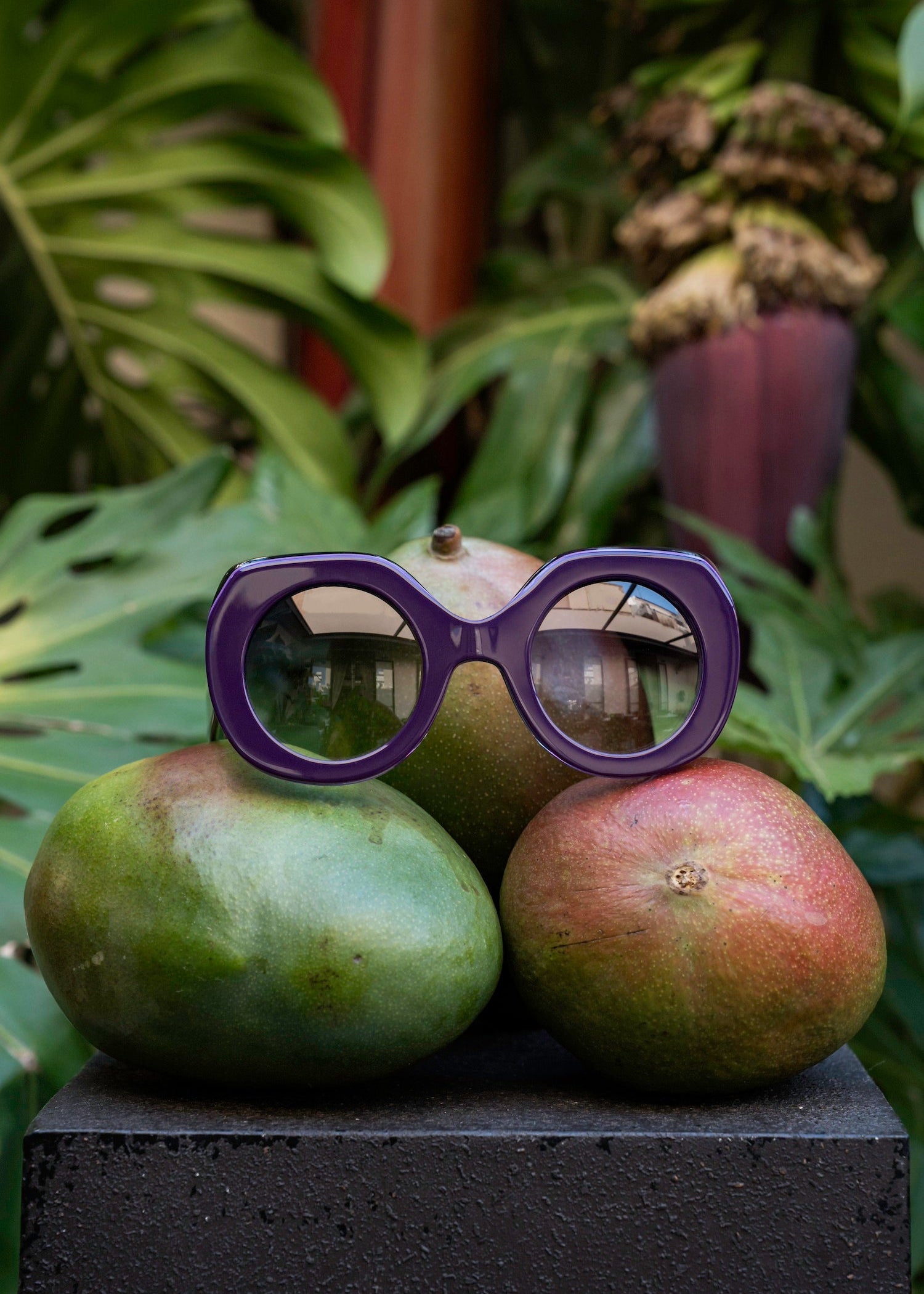 Nonna Purple Sunglasses