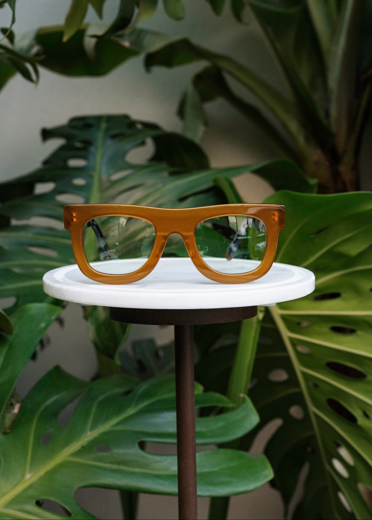 Gale Amber/Tortoise Grey Sunglasses