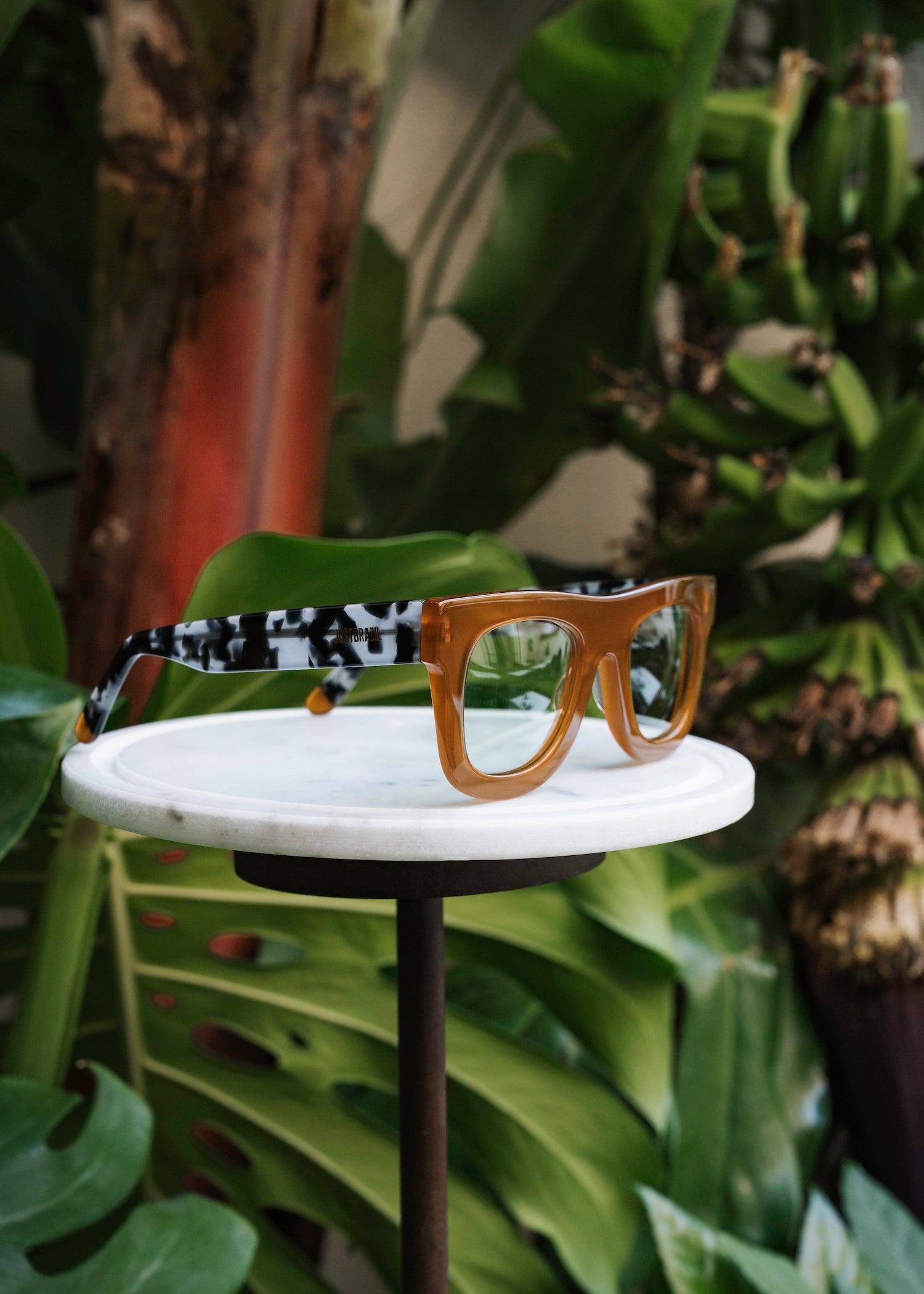 Gale Amber/Tortoise Grey Sunglasses