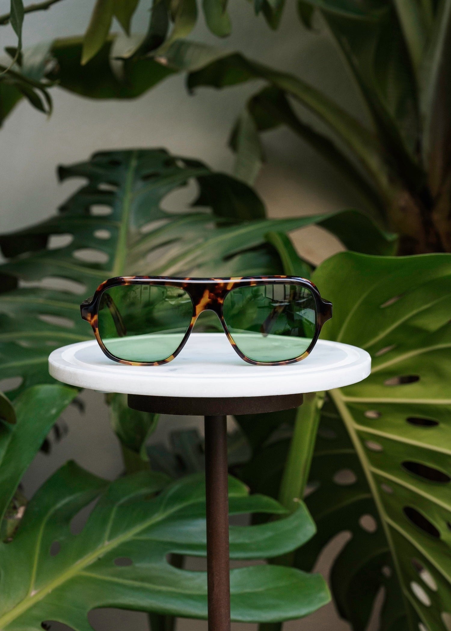 Tom Tortoise Sunglasses