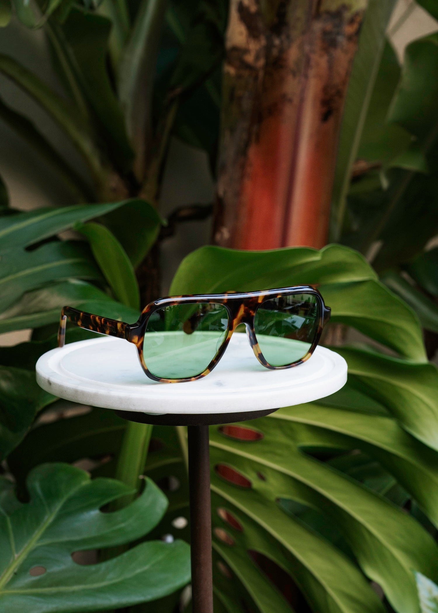 Tom Tortoise Sunglasses