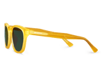 Bonfin Honey Classical Lenses