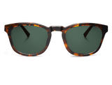 Mr Boho-Bonfin Cheetah Tortoise Classical Lenses-Justbrazil