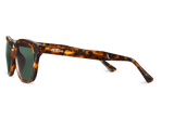 Mr Boho-Bonfin Cheetah Tortoise Classical Lenses-Justbrazil