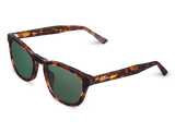 Mr Boho-Bonfin Cheetah Tortoise Classical Lenses-Justbrazil