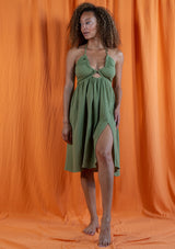 Lapa Khaki Dress