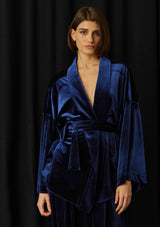 Wasabi Blue Velvet Blouse