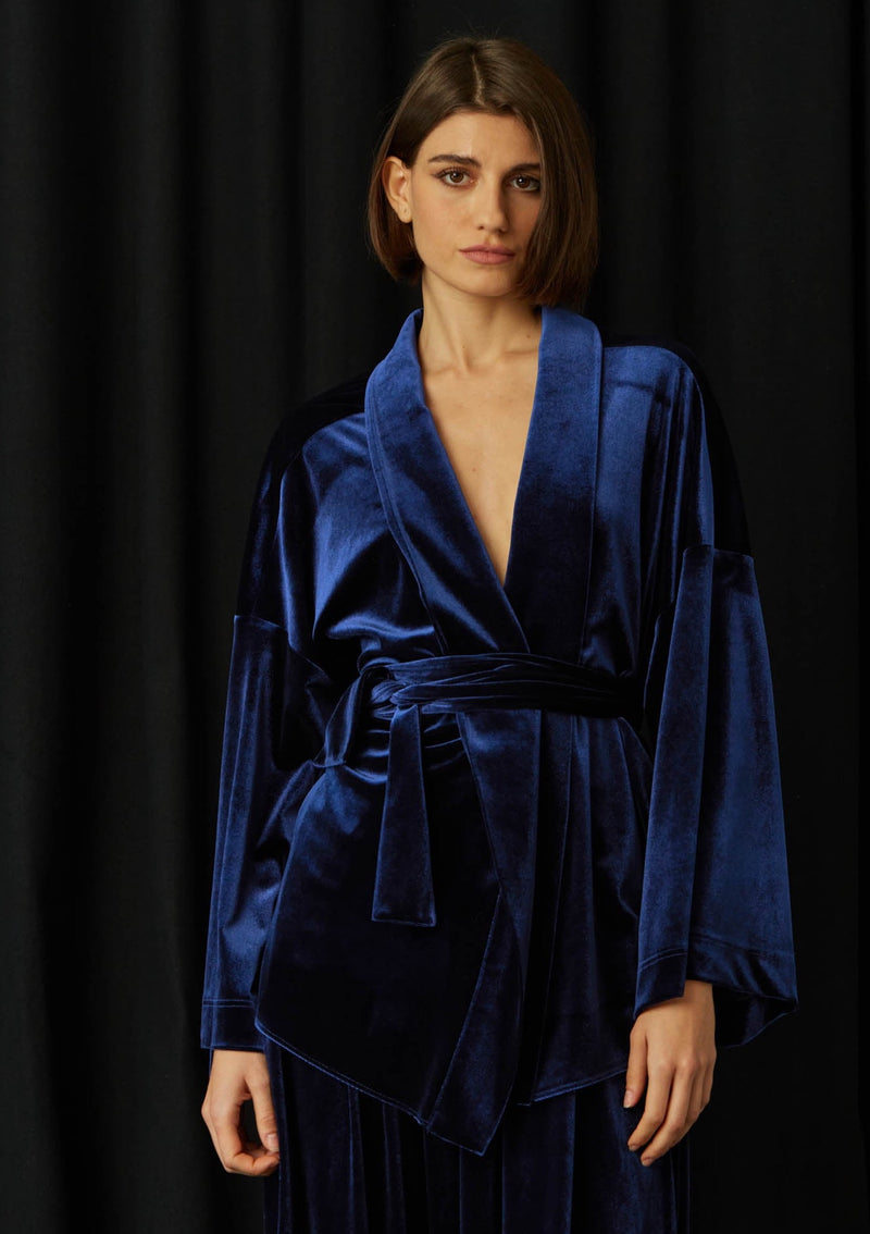Wasabi Blue Velvet Blouse