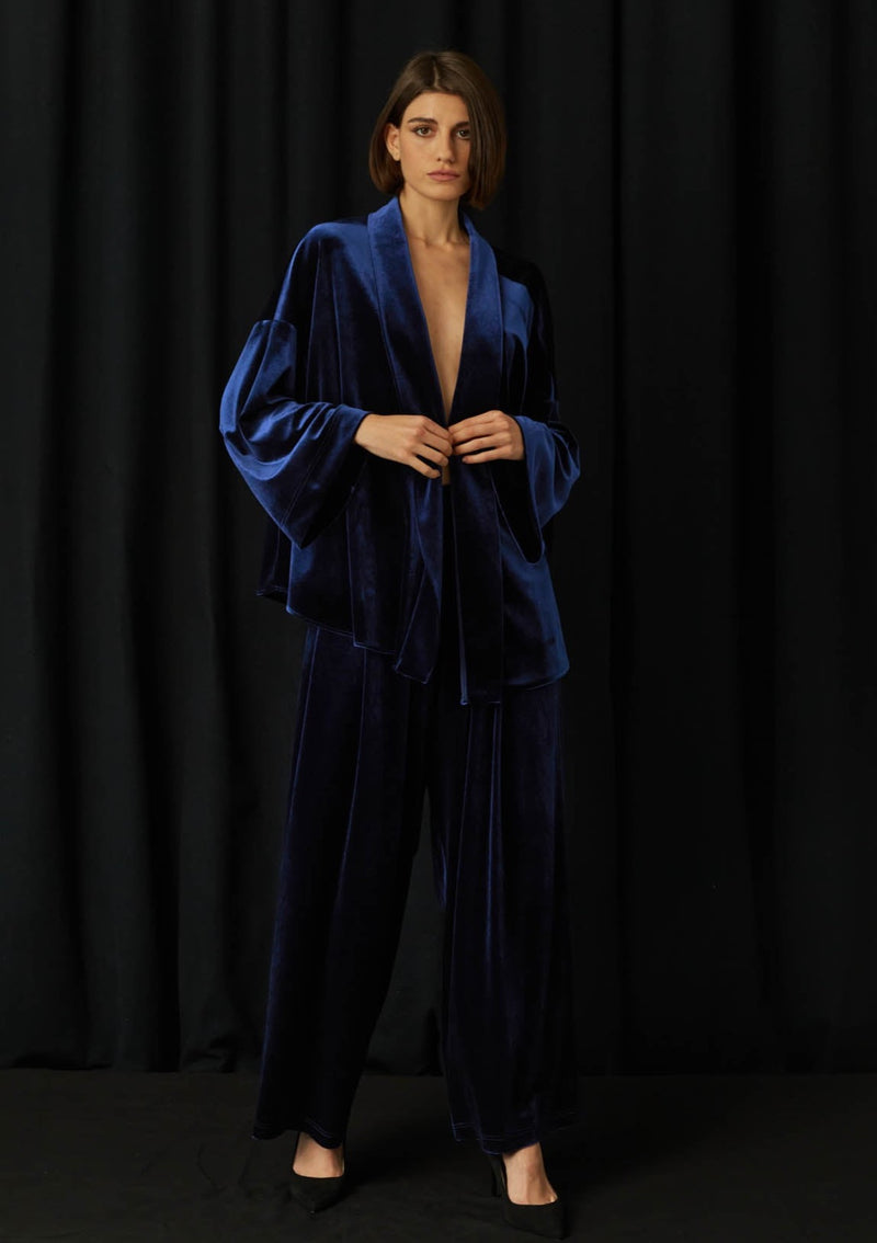 Wasabi Blue Velvet Blouse