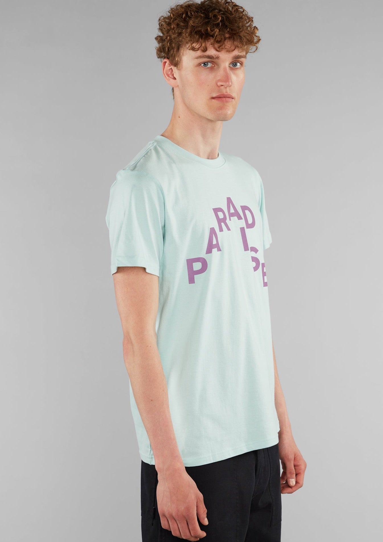 DEDICATED SS22-PARADISE MINT STOCKHOLM T-SHIRT-JUSTRAZIL