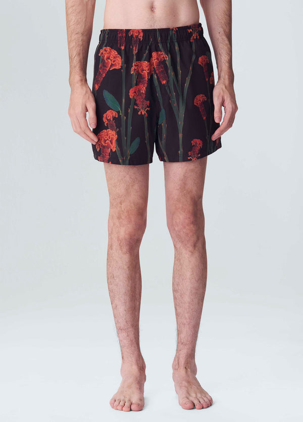 Osklen-Wave Beach Shorts-Justbrazil