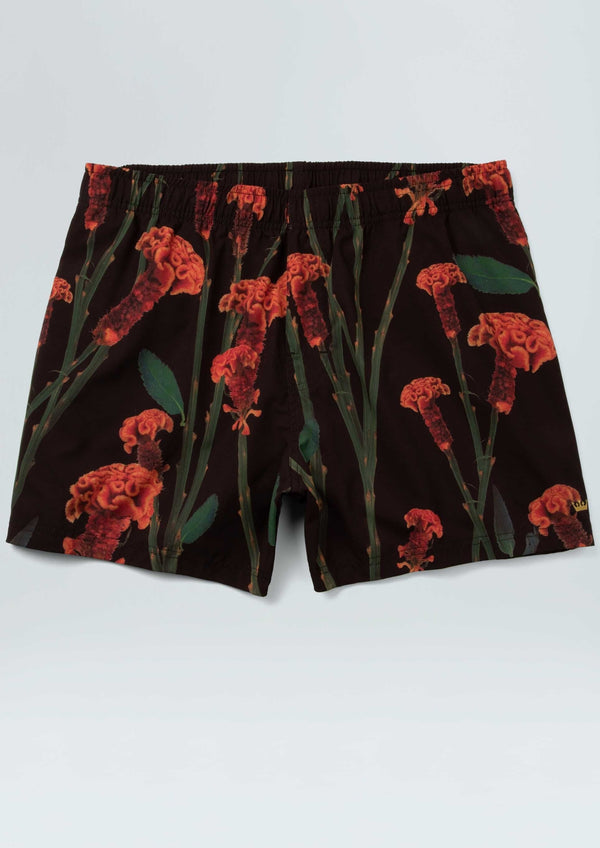Osklen-Wave Beach Shorts-Justbrazil